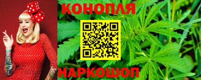 альфа пвп Волгодонск