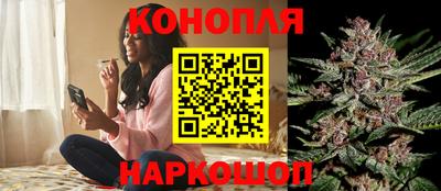 альфа пвп Волгодонск