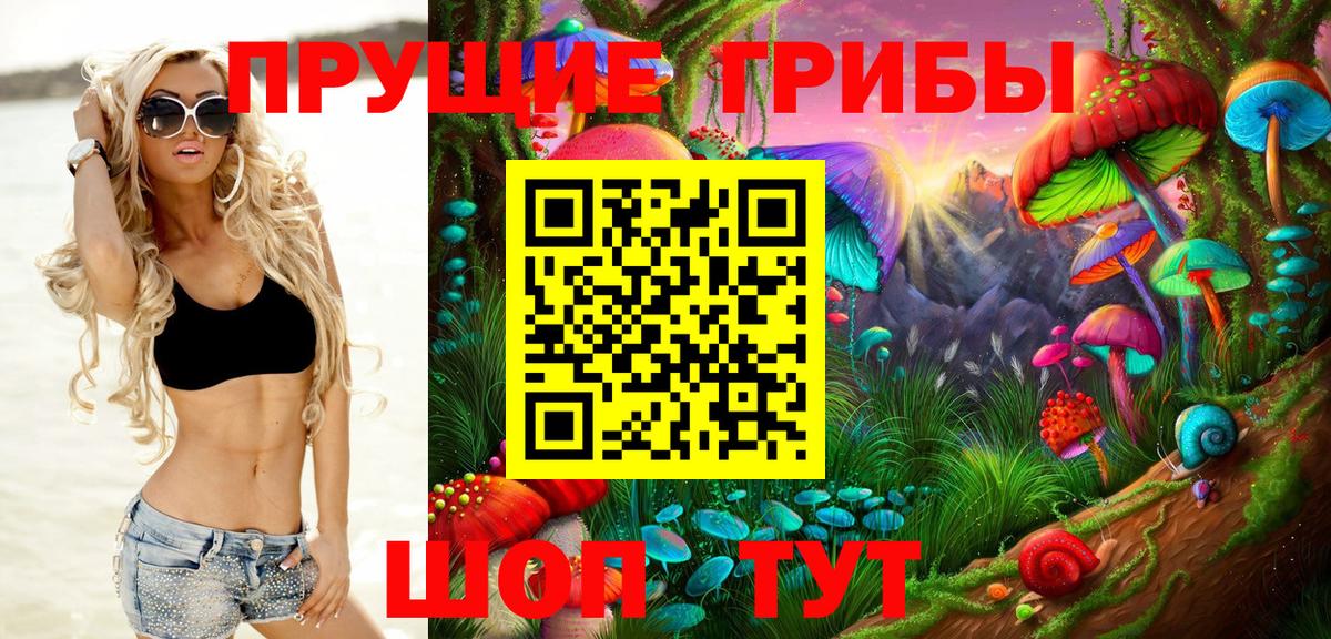 Псилоцибиновые грибы мицелий  купить наркоту  Ноябрьск  Вход с VPN 